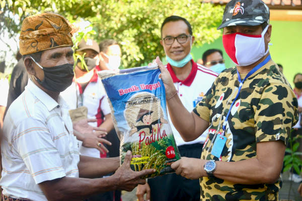  Badung Serahkan Benih Padi, Sayur Mayur dan Bibit Ikan