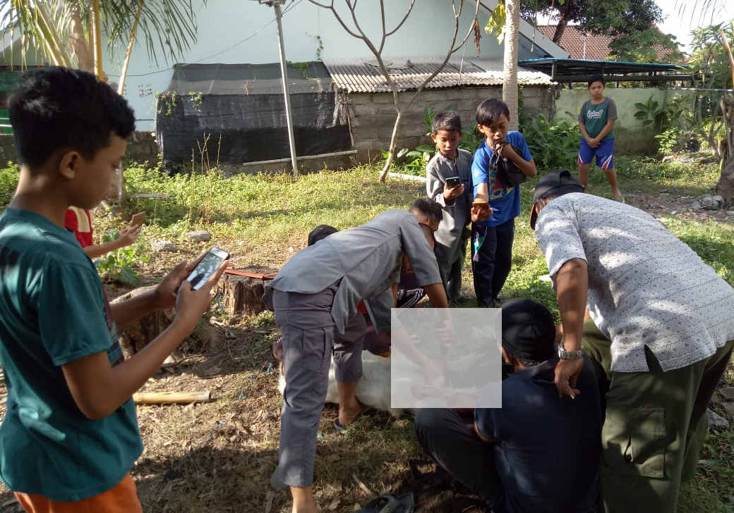  Rayakan Idul Adha 1441 H Dandim Karangasem Sembelih 2 Ekor Kambing