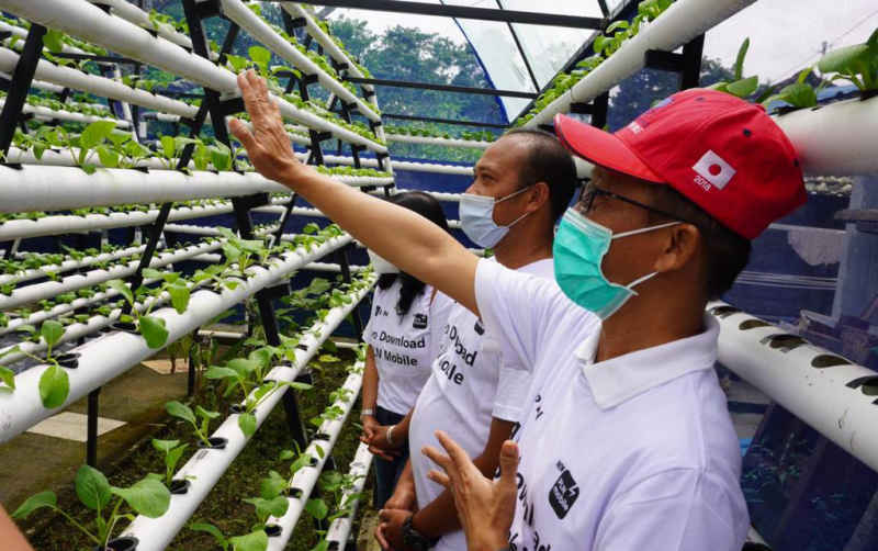  Modernisasi Pertanian dengan Electrifying Agriculture, Tingkatkan Daya Saing Industri dan Ketahanan Pangan Nasional