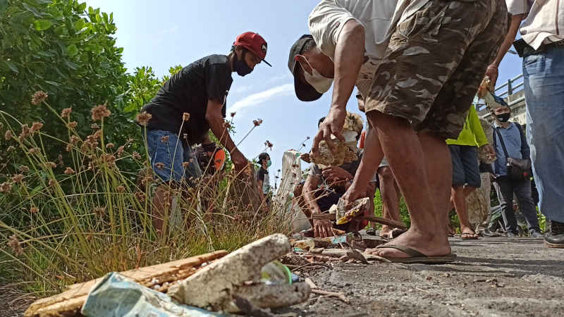  Hari Lingkungan Hidup Sedunia, Momentum untuk Menjaga Ekosistem Laut