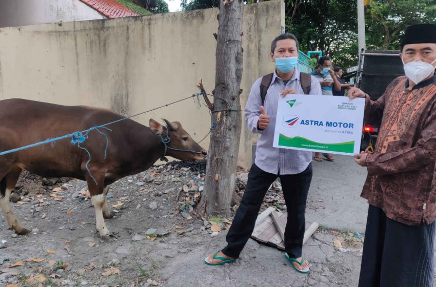  Wujud Berbagi, Astra Motor Bali Serahkan Hewan Kurban Kepada Masyarakat