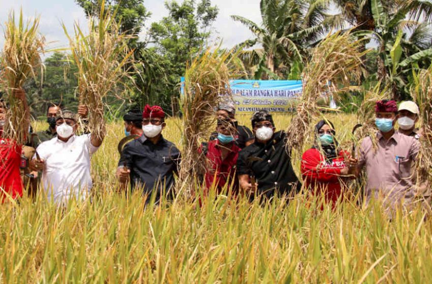  Badung Komit Mantapkan Pembangunan Sektor Pertanian dari Hulu Ke Hilir