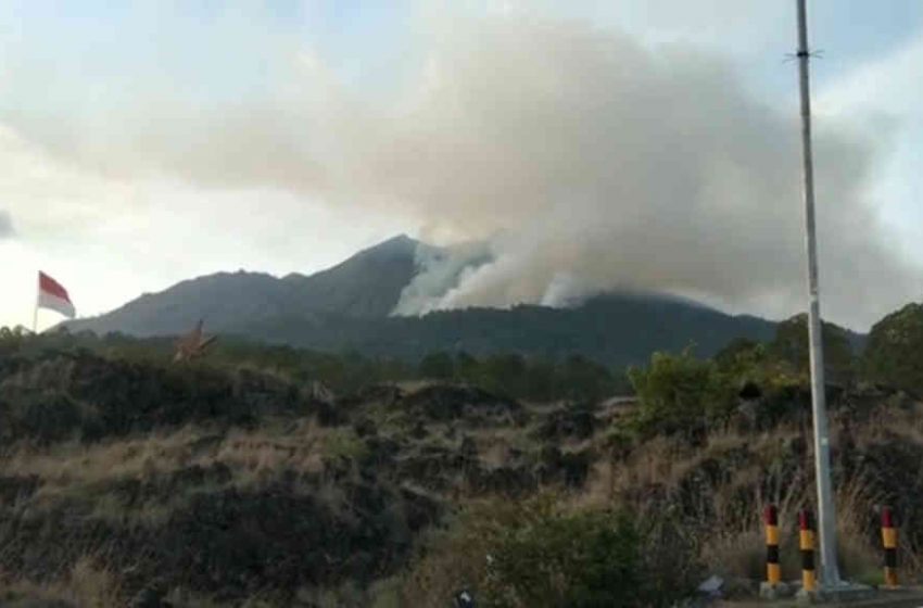 Kebakaran di Gunung Batur Bangli, Hanguskan Lahan Seluas 3 Hektar