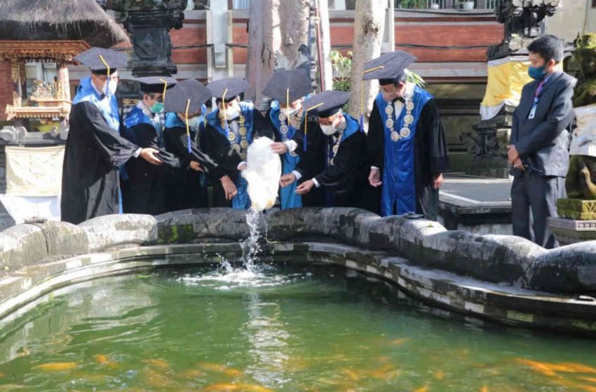  Unud Gelar Pelepasan Ikan dan Burung di Areal Gedung Rektorat Serangkaian Rahina Tumpek Uye