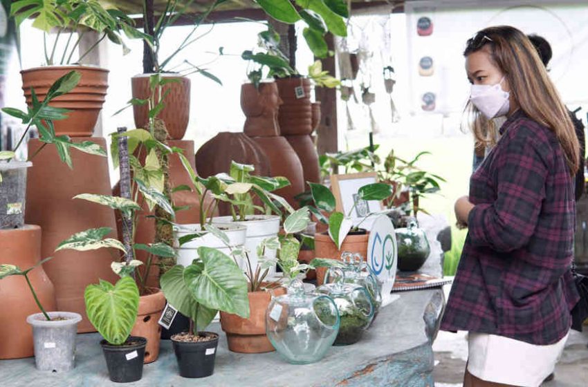  Pop Plant Market, Kolaborasikan Seni Dengan Botani