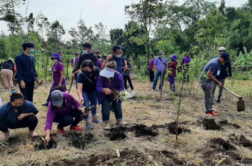  Fapet Unud Gelar Pengabdian Masyarakat, Tanam 1.250 Bibit HPT Unggul di Farm Pengotan Bangli