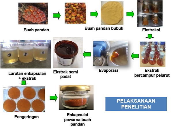  Akademisi FTP Unud Manfaatkan Buah Pandan Menjadi Pewarna Alami