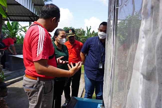  PLN Beri Bantuan Budidaya Maggot di Tabanan