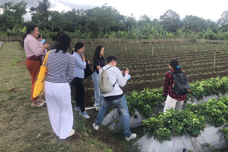  Mahasiswa Magister Agribinis Unud Praktikum Agrowisata di Kintamani