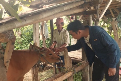FKH Unud Ikuti Gebyar Vaksinasi Penyakit Mulut dan Kuku di Buleleng