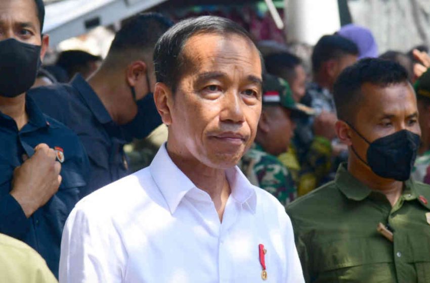  Jokowi Minta KPK Tak Buat Gaduh dan Ikuti Aturan Terkait Pencopotan Brigjen Endar