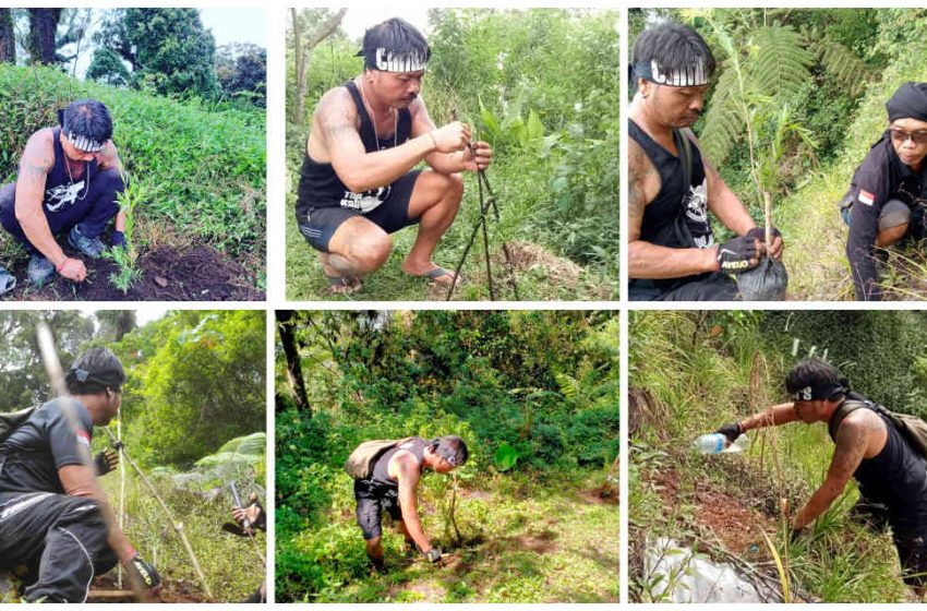  Rayakan HUT ke-2, The Bali Climbers Ajak Masyarakat Ikut Reboisasi di Kawasan Gunung Catur