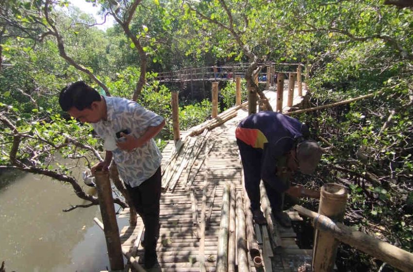  Permudah Akses Nelayan, Kawasan Mangrove Ulam Sari Kedonganan Mulai Dibangun Akses Pantau