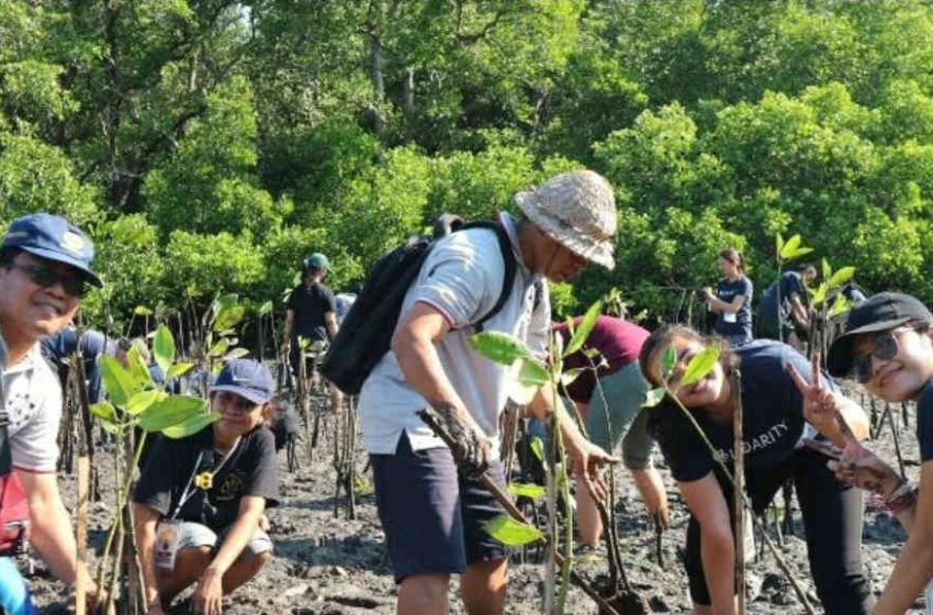  Mahasiswa Fisika Melakukan Pengabdian kepada Masyarakat Berupa Penanaman Mangrove