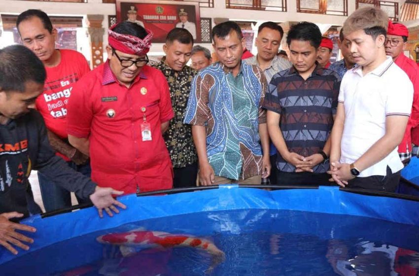  Dukung Liga dan Pameran Ikan Koi Nasional, Bupati Sanjaya Harapkan Mampu Promosikan Potensi Tabanan