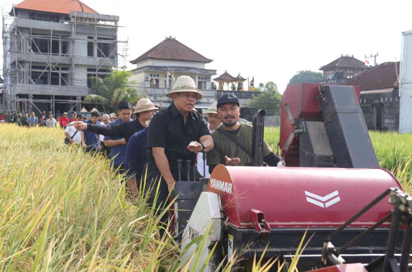  Pemerintah Kabupaten Tabanan Apresiasi Gerakan Panen Padi Raya di Subak Gadon I, Kediri