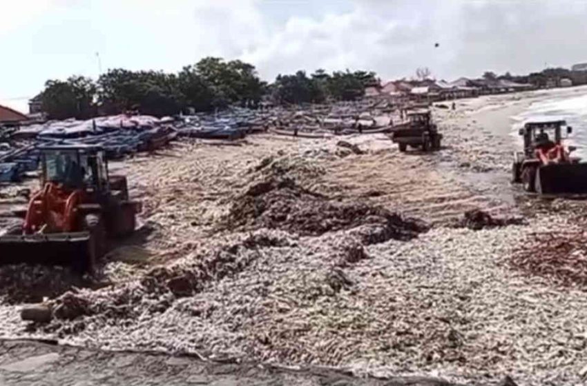  Sampah Plastik di Kedonganan, DLHK Badung Kumpulkan 100 Ton Dalam Sehari