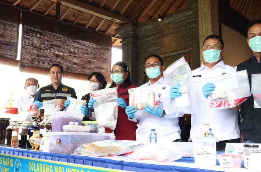  Laboratorium Rahasia Milik WNA Penghasil Narkoba Jenis Baru di Gianyar, Berhasil Diungkap BNN