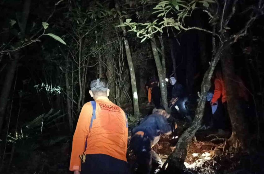  Terperosok Saat Mendaki Gunung Batukaru, Seorang WNA Hilang