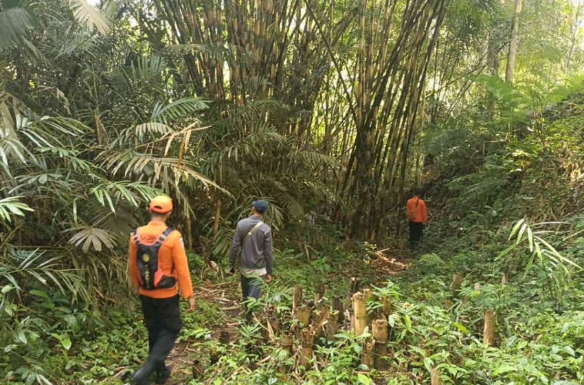  Lansia Hilang Saat Mencari Rumput, Warga Hanya Temukan Sandal Serta Sabit