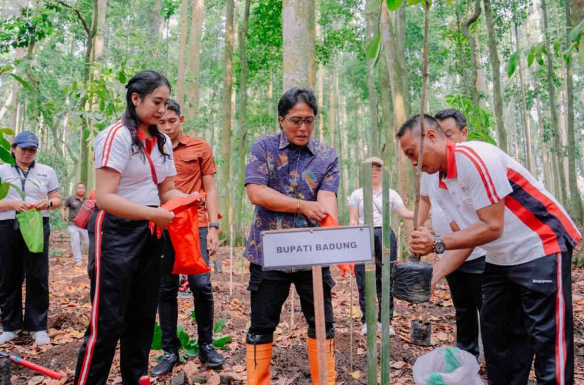  Merawat Bumi Lindungi Sumber Air, Giri Prasta Tanam 1000 Pohon Pala di Alas Pala Sangeh