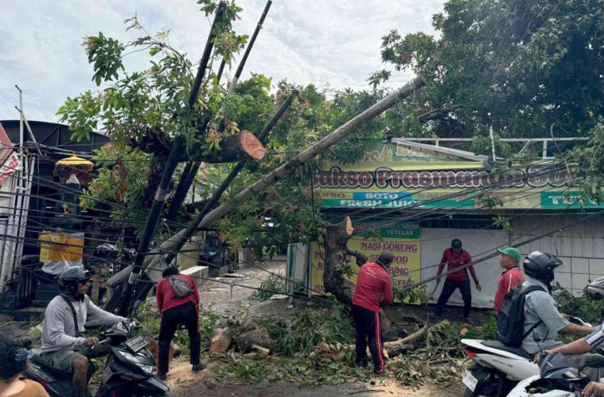  Hujan Disertai Angin Kencang Akibatkan Pohon Tumbang Timpa Warung di Jalan Nuansa Utama Jimbaran