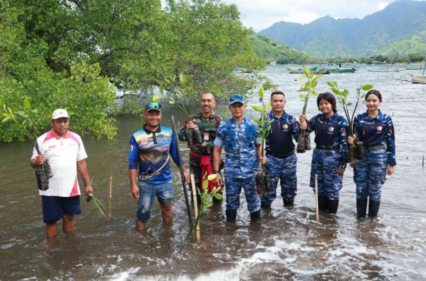  Jaga Pesisir Pantai Utara Bali, Lanud Ngurah Rai Tanam Seribu Bibit Mangrove di Pemuteran