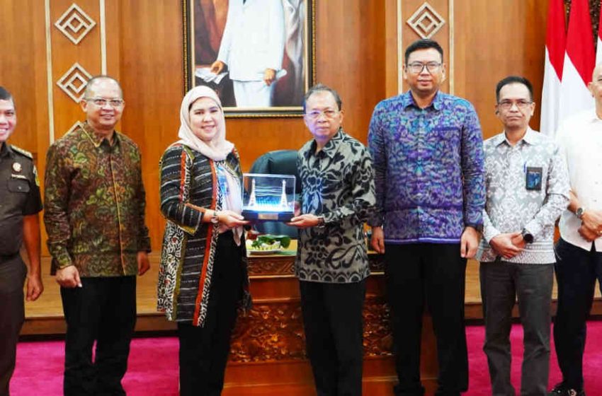  Mitigasi Sistem Kelistrikan Bali, Gubernur Koster Minta Sejalan dengan Bali Mandiri Energi