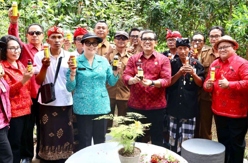 Bungan Desa Bawa Layanan dan Bantuan Langsung untuk Warga Wanasari