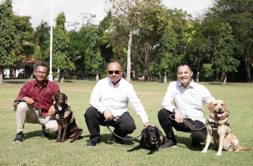  Pelatihan K9, Tingkatkan Keamanan dan Kenyamanan Wisatawan di Kawasan The Nusa Dua