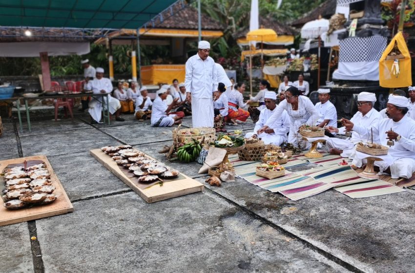 Unik, Ritual Mapedanan di Pura Bukit Sari Apuan