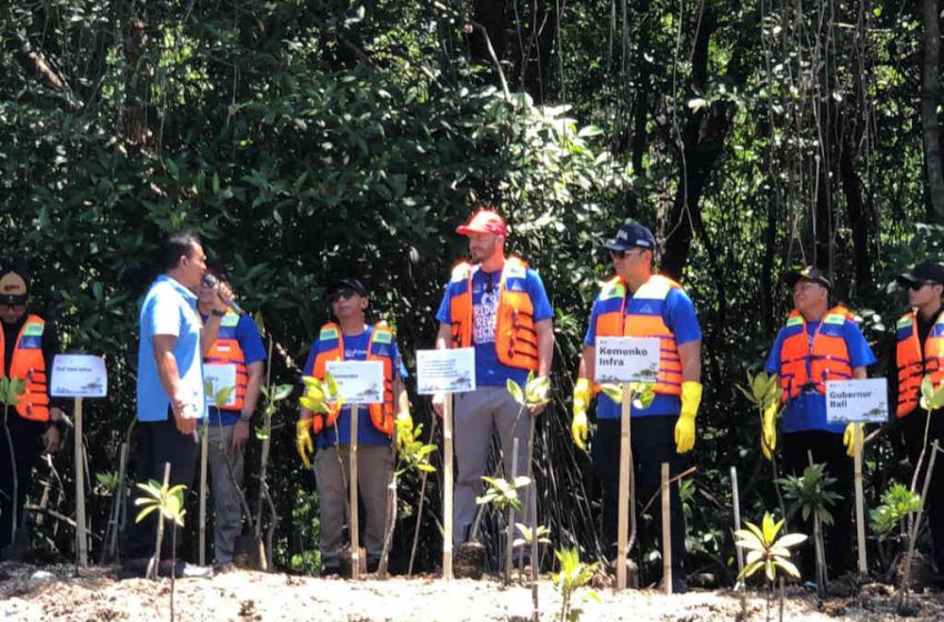  Menteri AHY Tanam Mangrove di Batu Lumbang, Dorong Infrastruktur Hijau dan Pelestarian Lingkungan