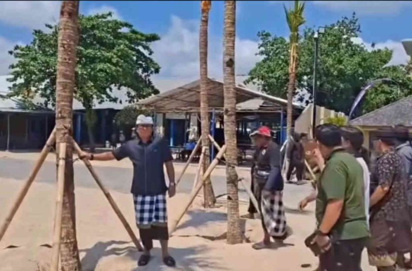  Berpotensi Serobot Ruang Publik, Penanaman Pohon Kelapa di Pesisir Pantai Diprotes Desa Adat Tanjung Benoa