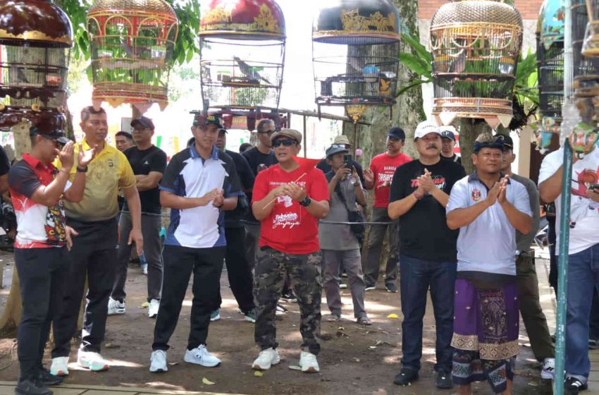  Bupati Sanjaya Tinjau Lomba Burung Perkutut Antar OPD Meriahkan HUT ke-532 Kota Singasana