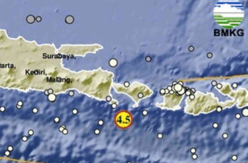  Gempabumi Tektonik M4,5 Guncang Kuta Selatan