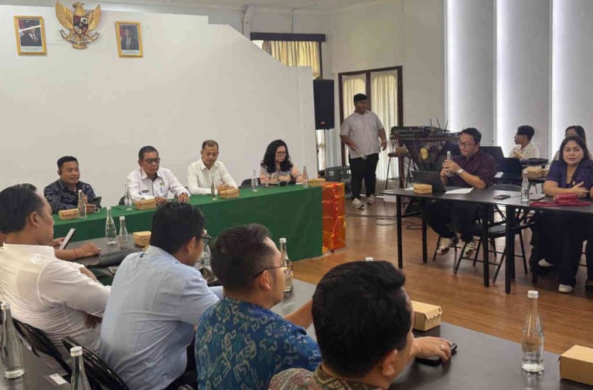  Dorong Penataan dan Klasifikasi Vila di Bali, BVRMA Soroti Kebocoran Pajak dan Standarisasi